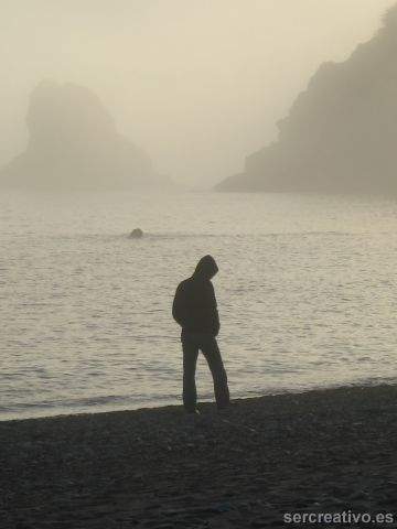 Dia Mundial de la Paz